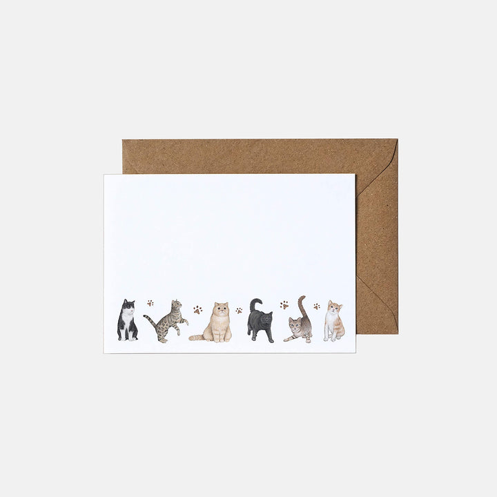 cat note cards