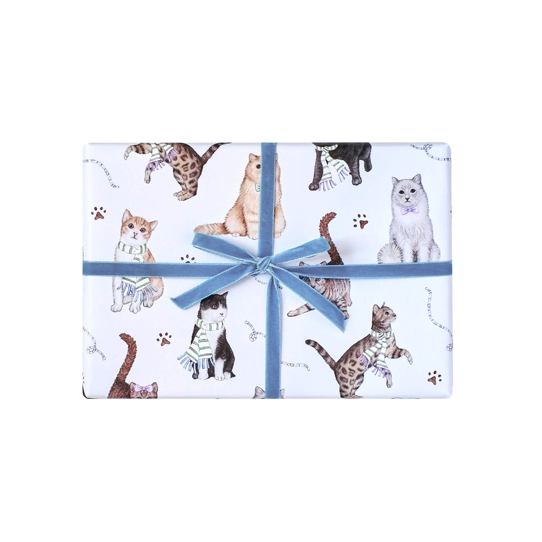 Cats wrapping paper