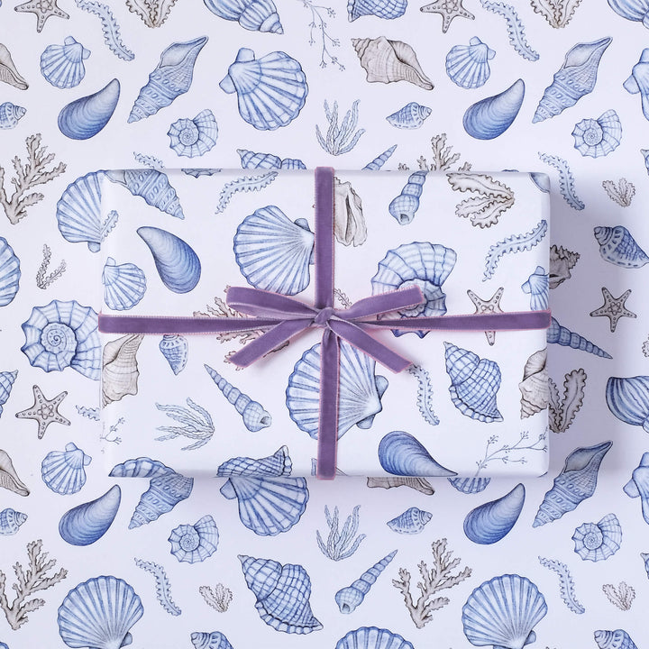 Shell wrapping paper