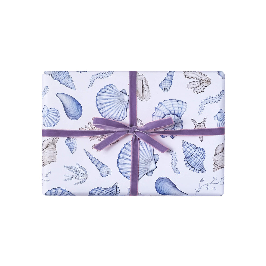 Shell wrapping paper
