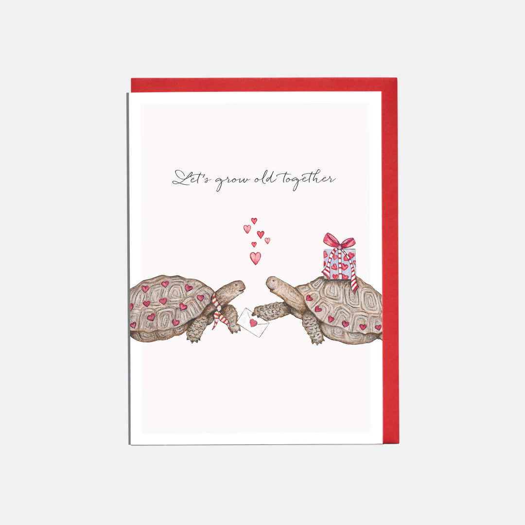 Tortoise Valentine's Day Card - Let's Grow Old Together