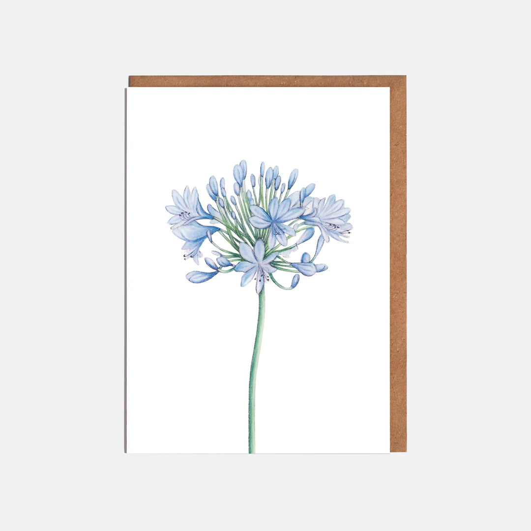 LOTTIE MURPHY Agapanthus Card ST07