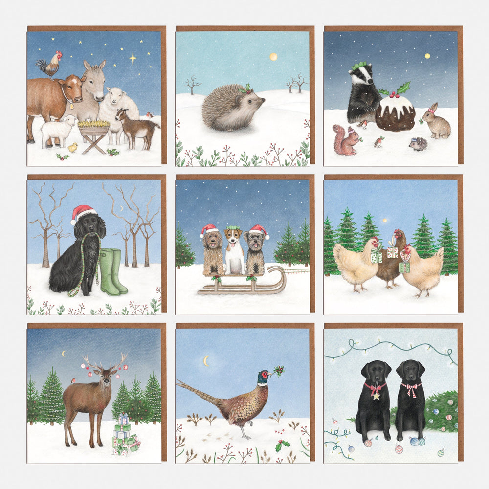 LOTTIE MURPHY Lucky Dip Christmas Card Pack LD01-P