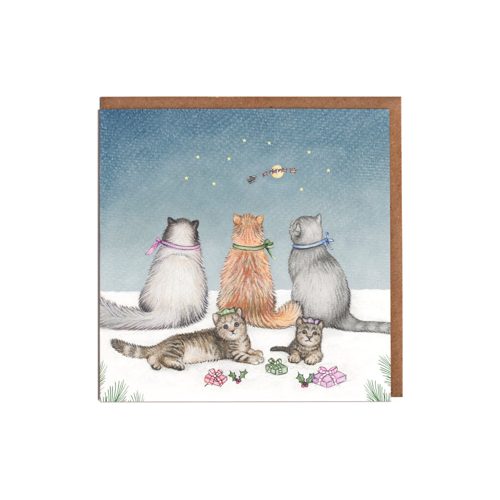 LOTTIE MURPHY Cats & Presents Christmas Card Pack MB30-P
