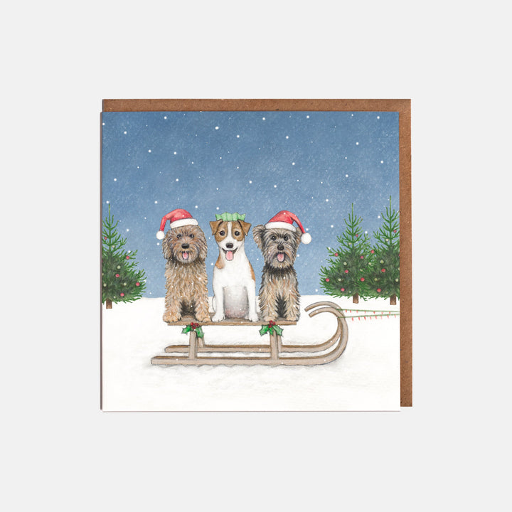 LOTTIE MURPHY Dogs & Sleigh Christmas Card Pack MB35-P