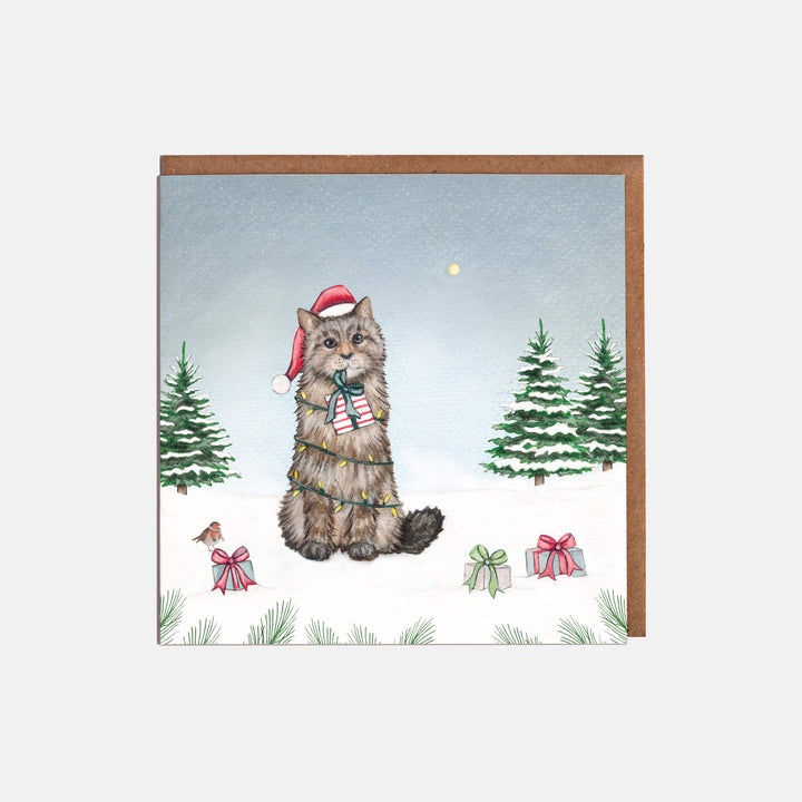 cat christmas card pack with kraft envelopes