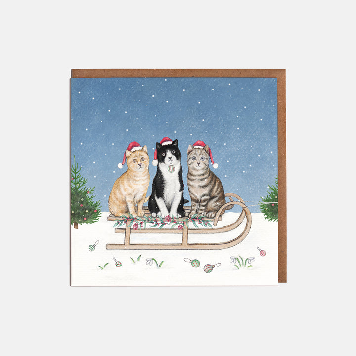 Cats christmas card pack of eight 