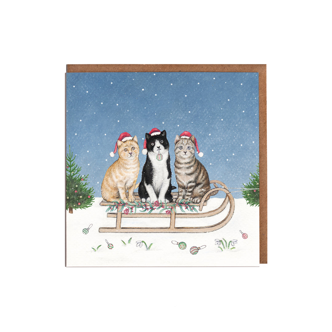 Cats christmas card pack of eight 