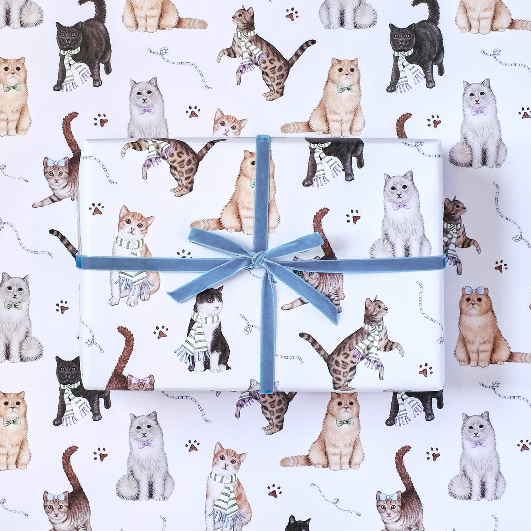 Cats wrapping paper