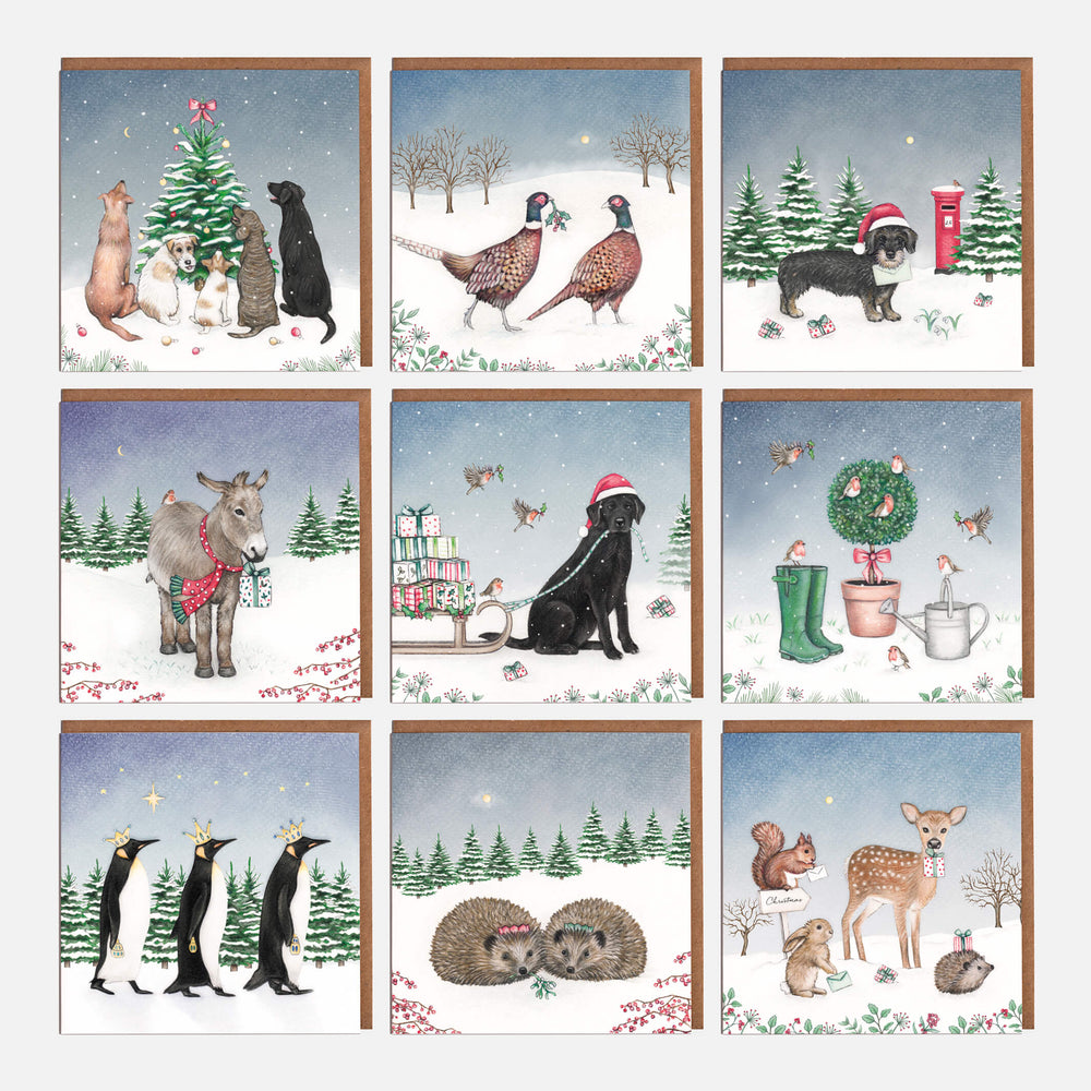 lucky dip christmas card pack with kraft envelope