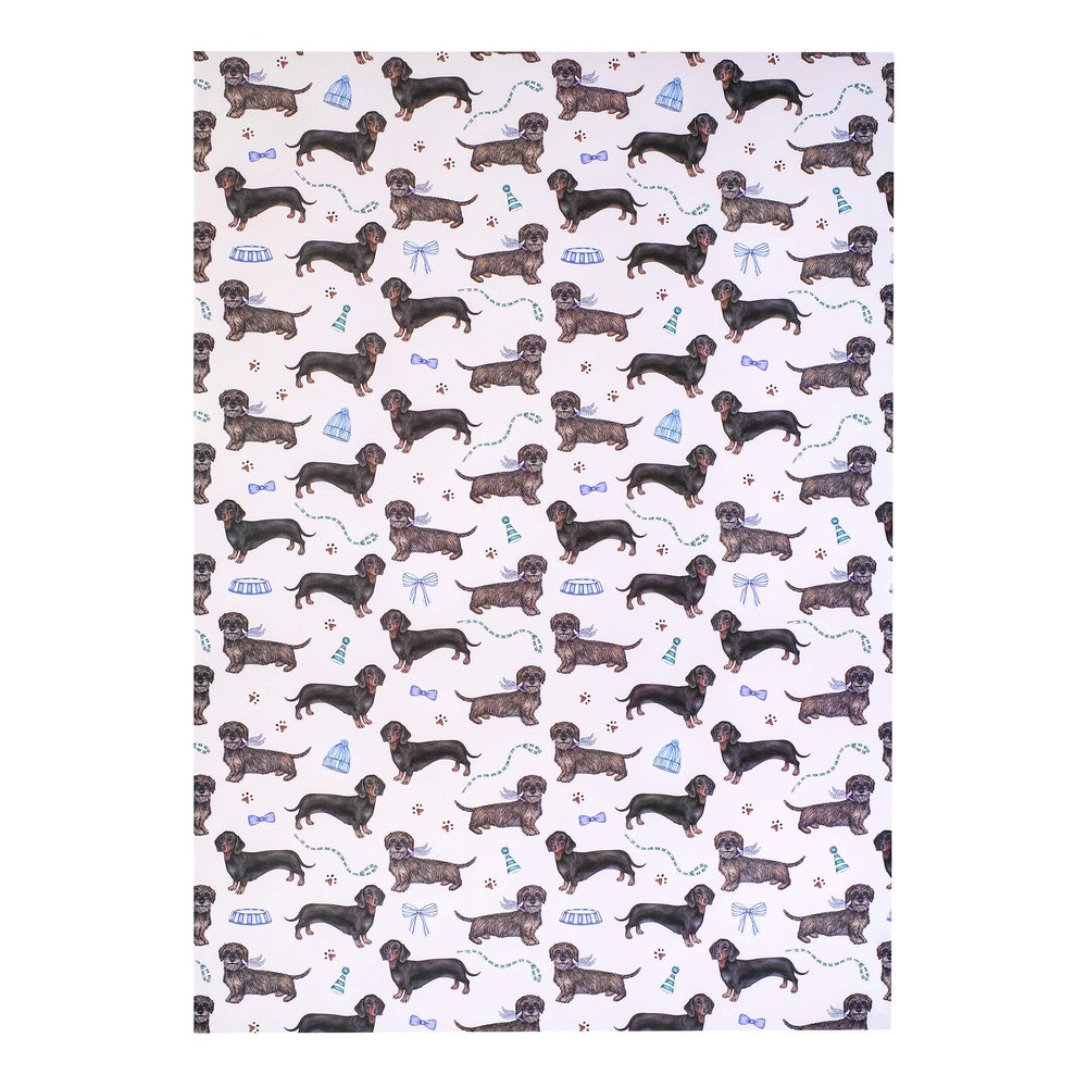 Dachshund wrapping paper