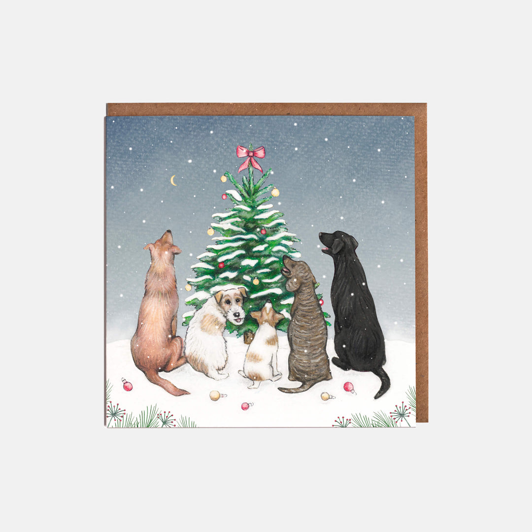 dogs christmas card pack