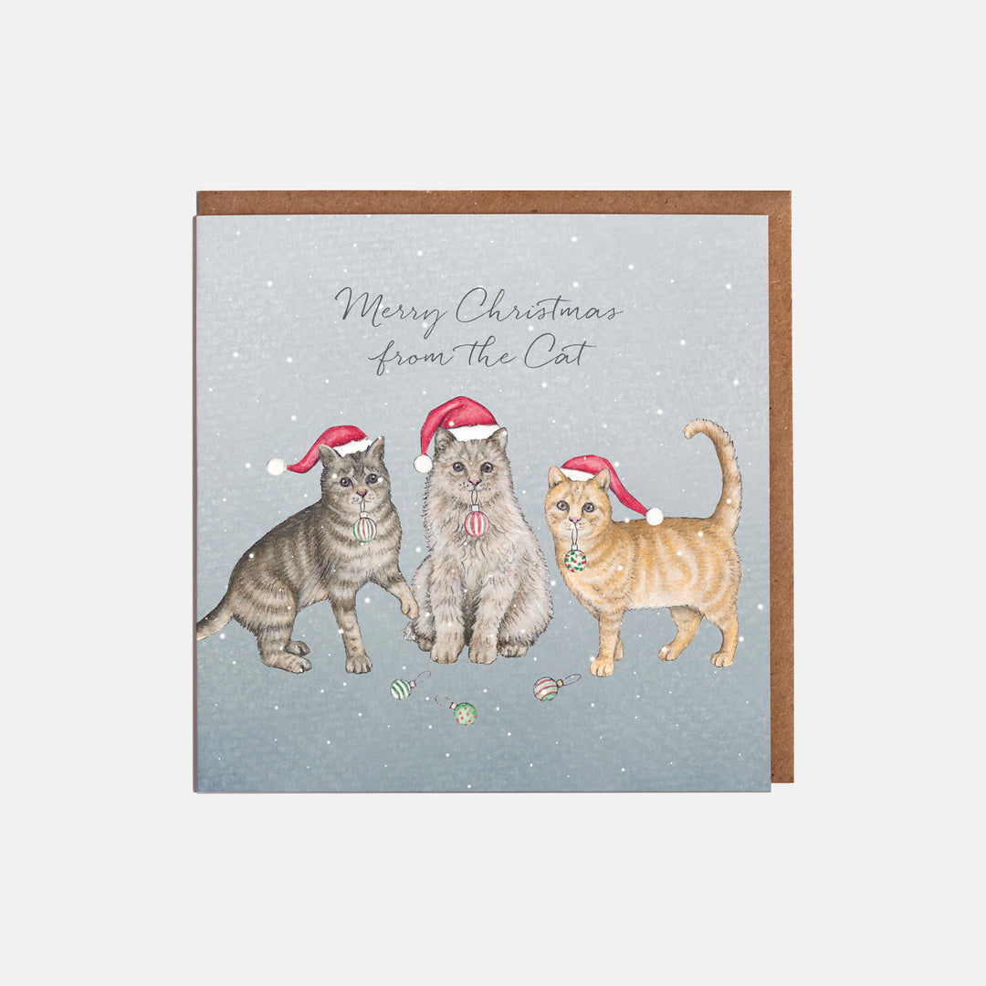 From the cat christmas card with kraft envelope