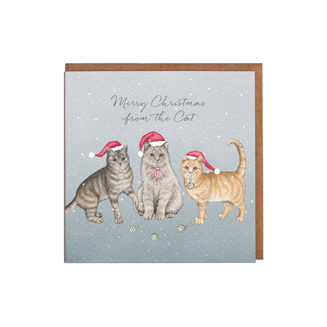 From the cat christmas card with kraft envelope