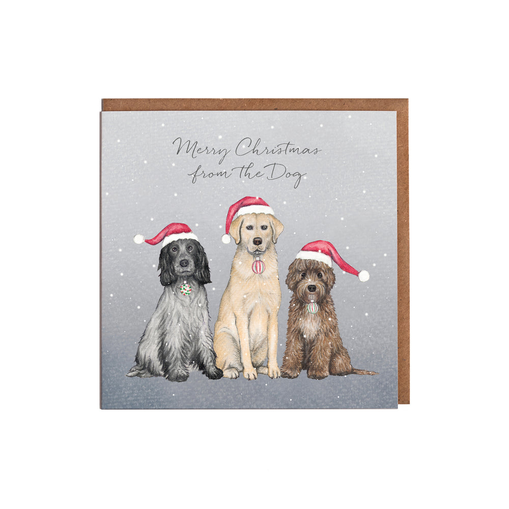 From the dog christmas card with kraft envelope