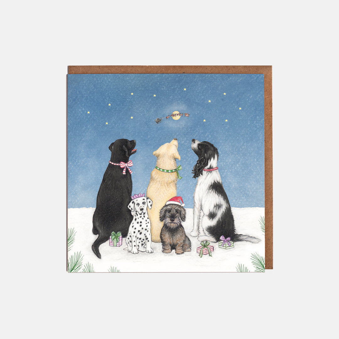 Labrador retriver border collie christmas card pack