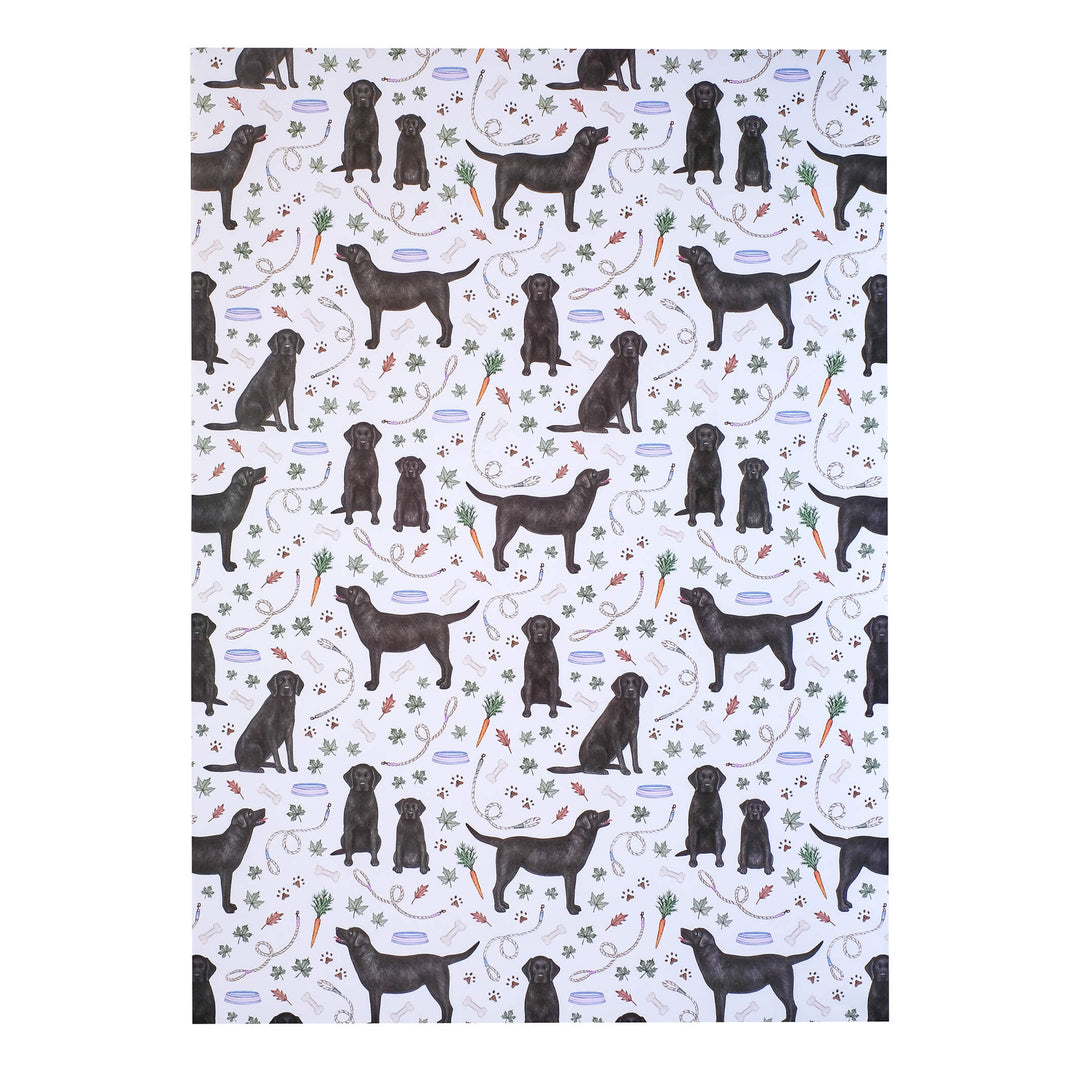 Wrapping Paper Bundle of 5