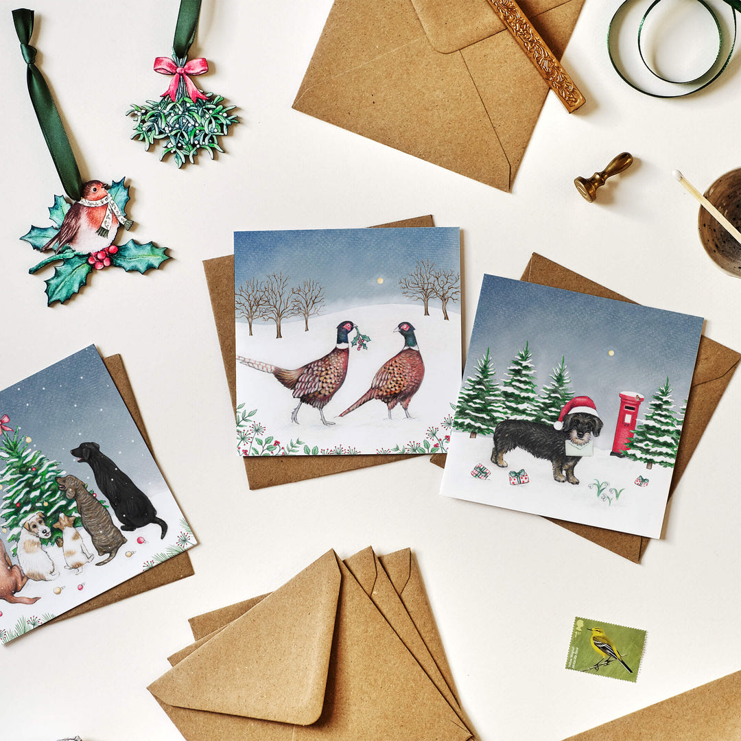 pheasant christmas card pack with kraft envelopes