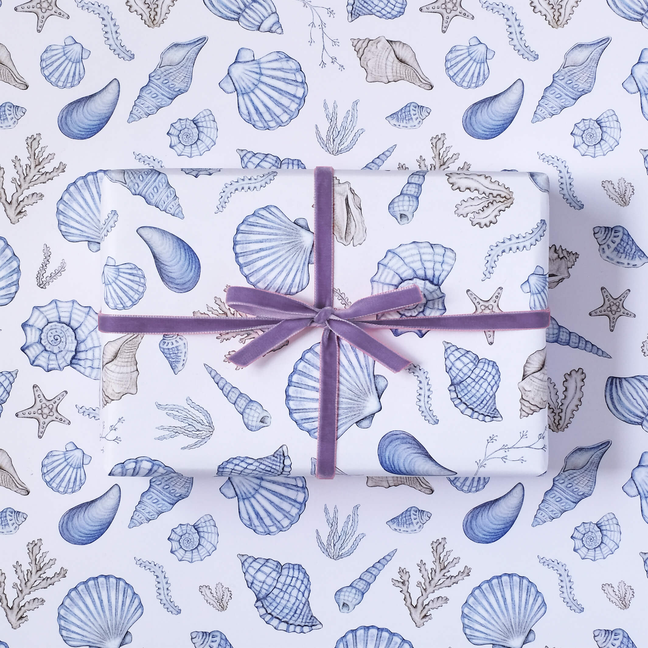 Shell Wrapping Paper – LOTTIE MURPHY