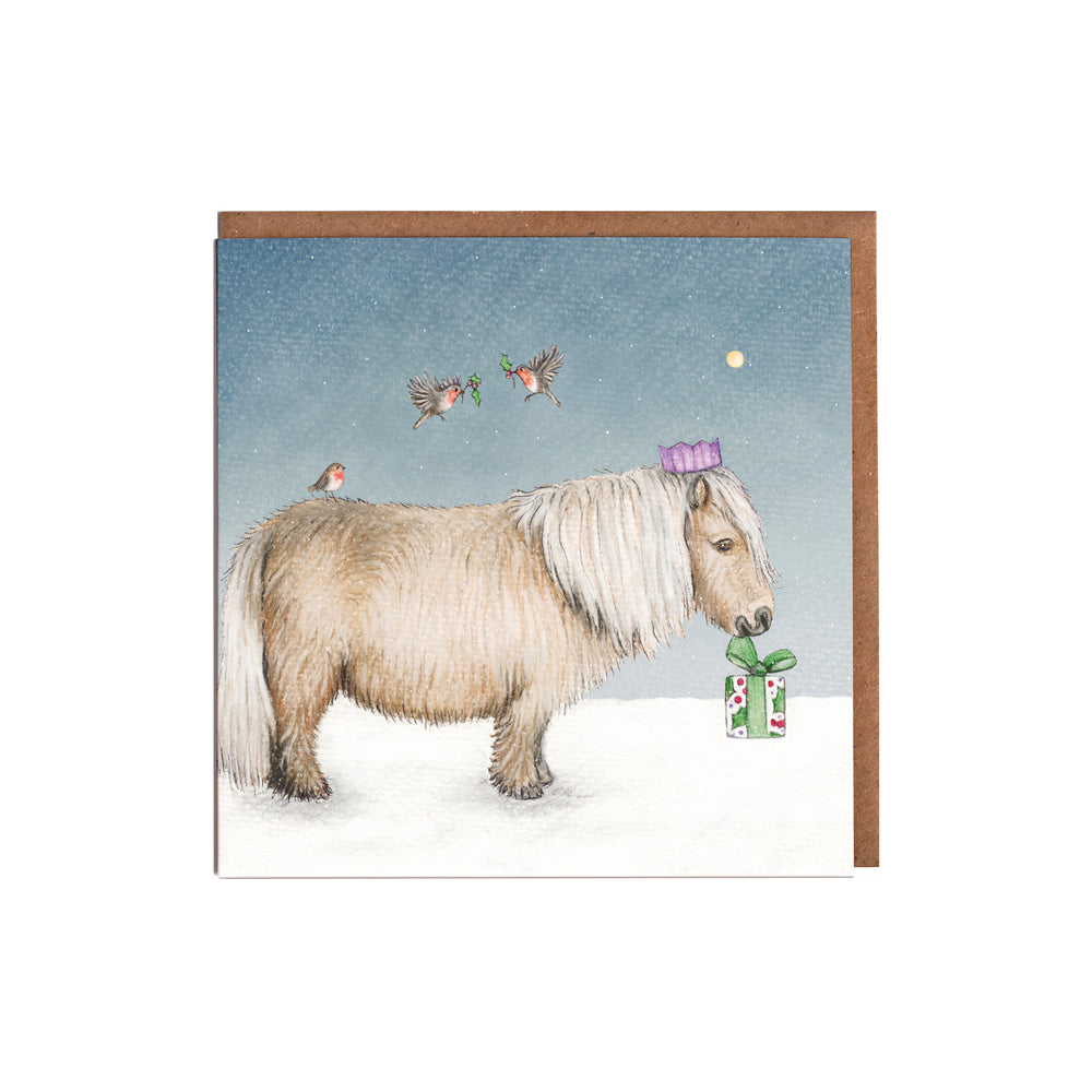 Shetland pony christmas card pack of eight