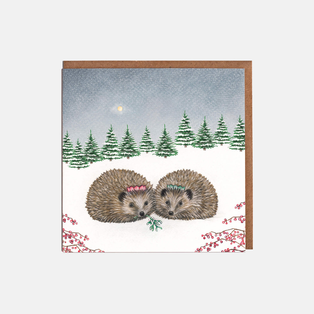 hedgehog christmas card pack