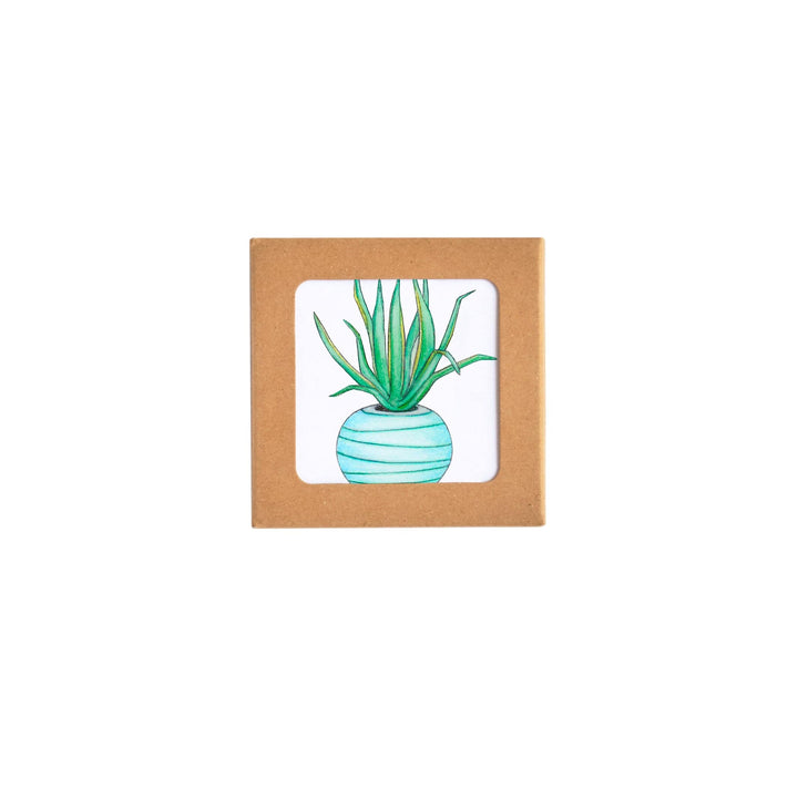 LOTTIE MURPHY Cactus Coasters (4 per set) DC01