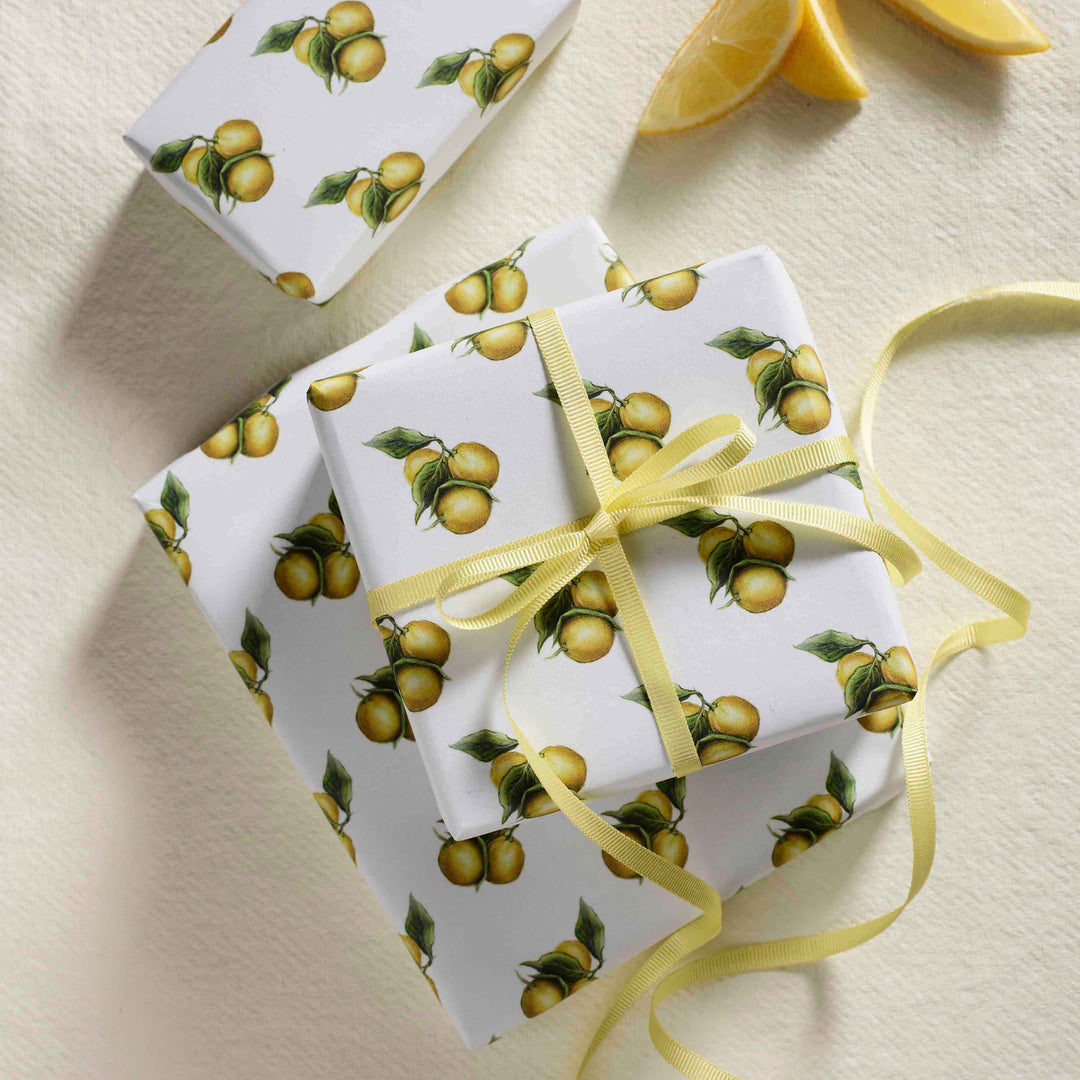 LOTTIE MURPHY Lemons Wrapping Paper (2 Sheets & Tags) WP02