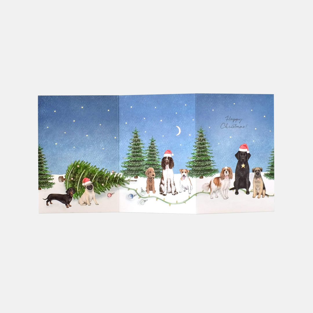 LOTTIE MURPHY Dogs Trifold Christmas Card MB27