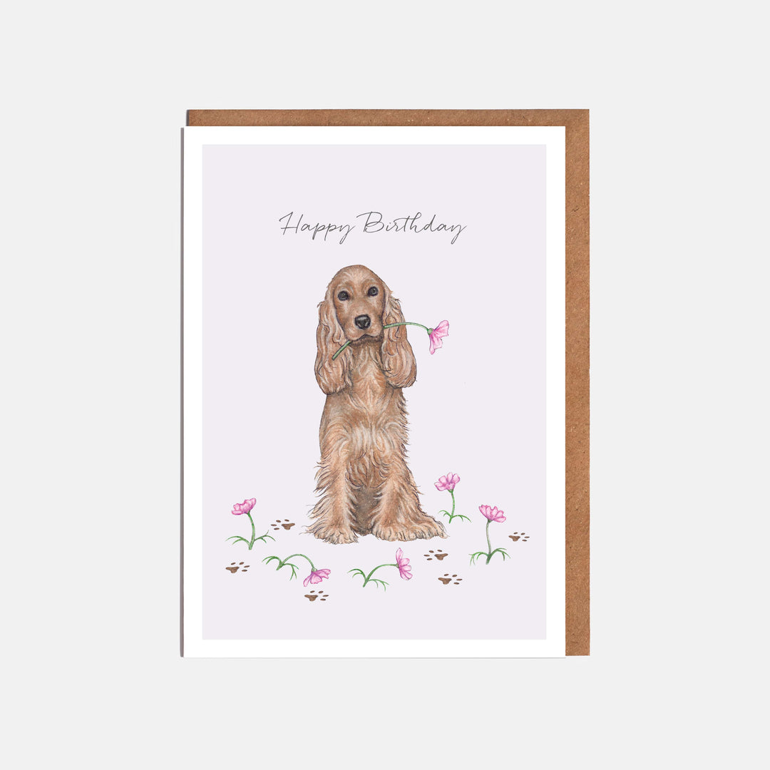 LOTTIE MURPHY Cocker Spaniel Birthday Card - Happy Birthday WC11